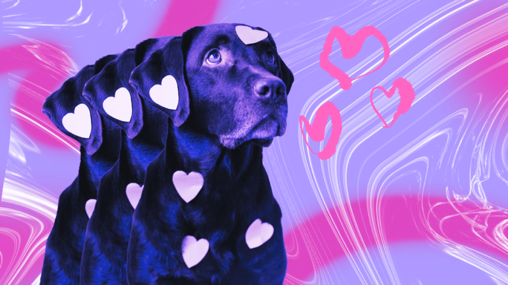 Does My Dog Really Love Me? Decoding Your Dog’s Signs of Affection